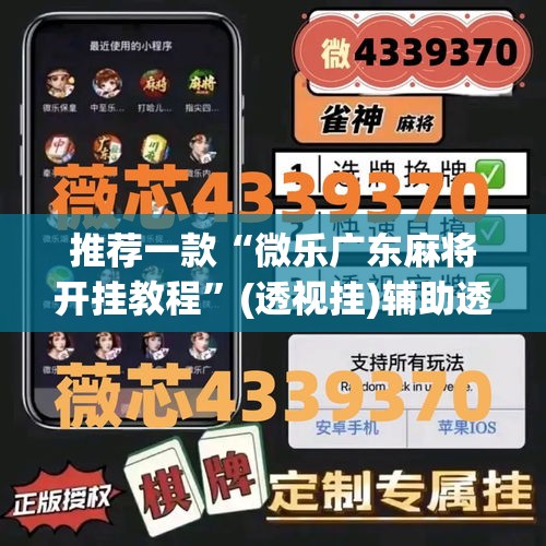 推荐一款“微乐广东麻将开挂教程”(透视挂)辅助透视教程