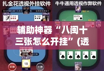 辅助神器“八闽十三张怎么开挂”(透视挂)辅助透视教程