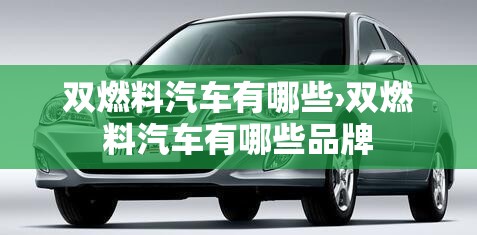 双燃料汽车有哪些›双燃料汽车有哪些品牌 双燃料汽车有哪些›双燃料汽车有哪些品牌