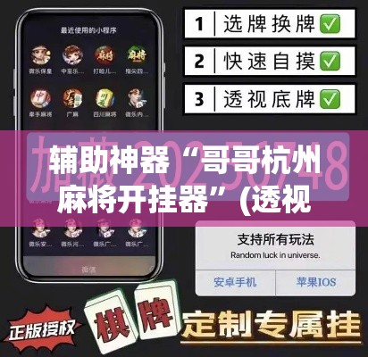 辅助神器“哥哥杭州麻将开挂器”(透视挂)辅助透视教程