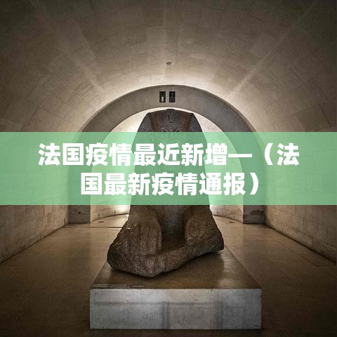法国疫情最近新增—(法国最新疫情通报) 法国疫情最近新增—(法国最新疫情通报)