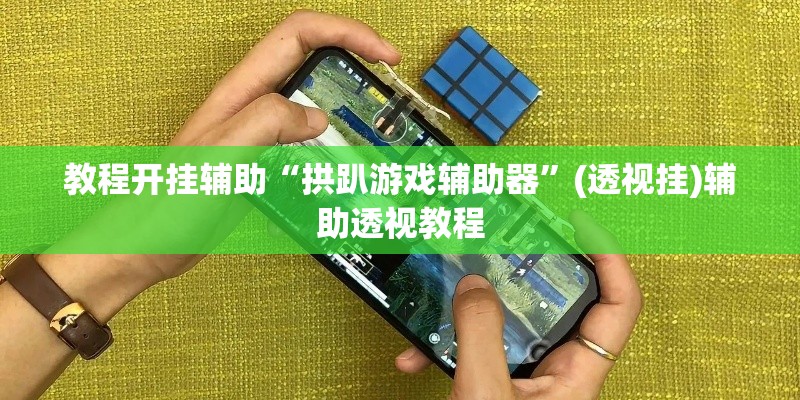 教程开挂辅助“拱趴游戏辅助器”(透视挂)辅助透视教程