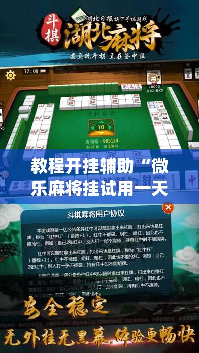 教程开挂辅助“微乐麻将挂试用一天”(透视挂)辅助透视教程