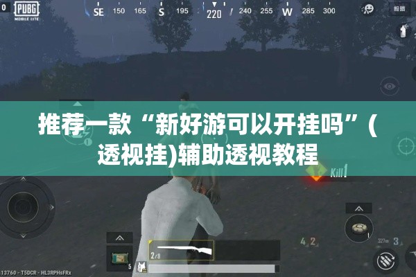 推荐一款“新好游可以开挂吗”(透视挂)辅助透视教程