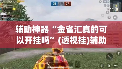 辅助神器“金雀汇真的可以开挂吗	”(透视挂)辅助透视教程