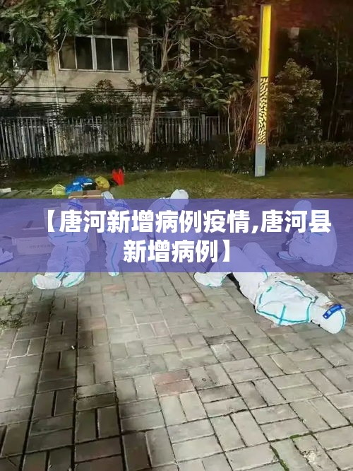【唐河新增病例疫情,唐河县新增病例】
