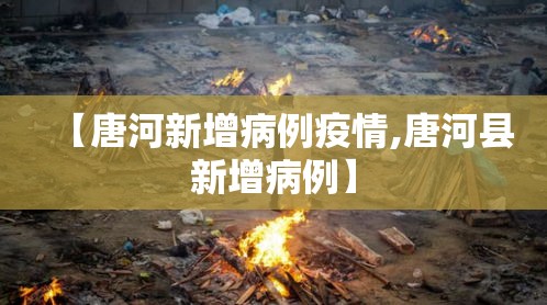 【唐河新增病例疫情,唐河县新增病例】 【唐河新增病例疫情,唐河县新增病例】