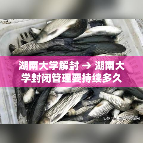 湖南大学解封 → 湖南大学封闭管理要持续多久