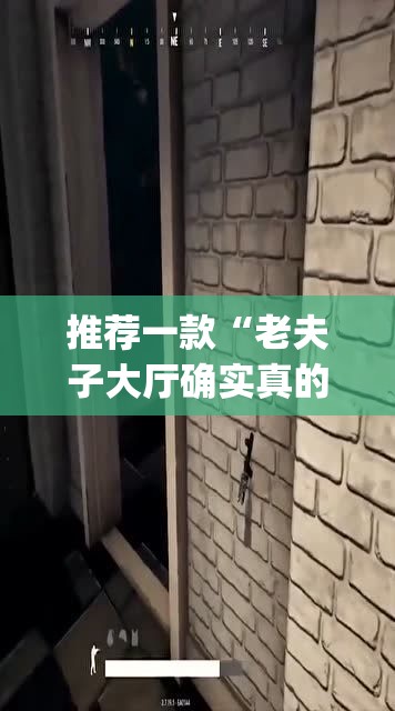 推荐一款“老夫子大厅确实真的有挂	”(透视挂)辅助透视教程