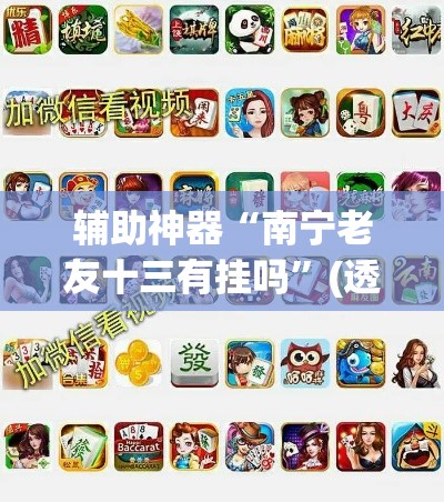 辅助神器“南宁老友十三有挂吗	”(透视挂)辅助透视教程