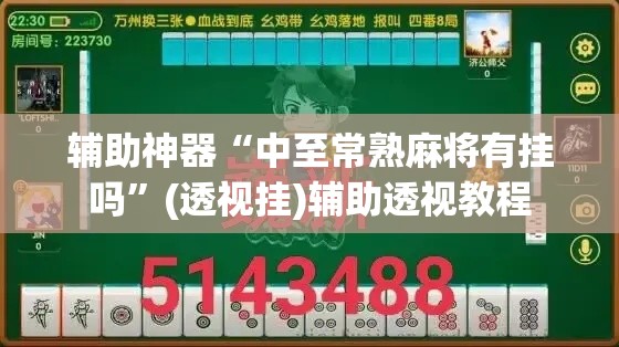辅助神器“中至常熟麻将有挂吗”(透视挂)辅助透视教程