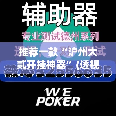 推荐一款“沪州大贰开挂神器”(透视挂)辅助透视教程