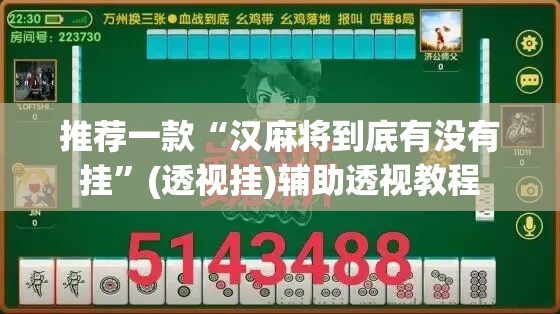 推荐一款“汉麻将到底有没有挂”(透视挂)辅助透视教程
