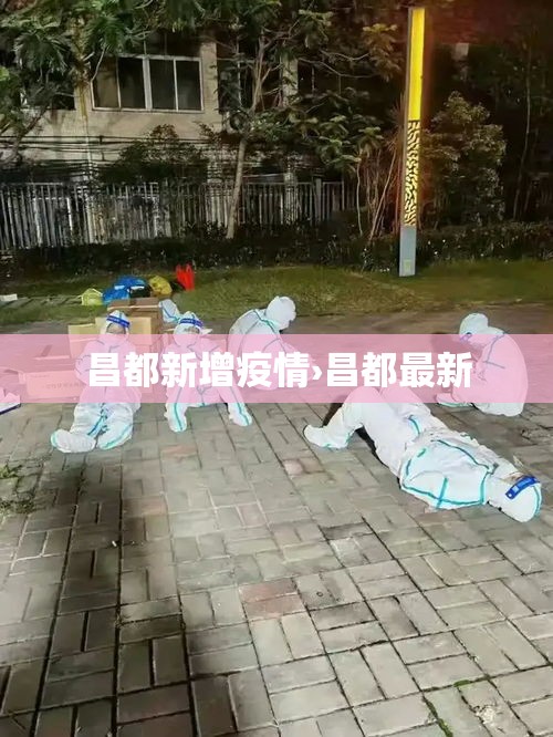 昌都新增疫情›昌都最新