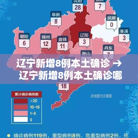 辽宁新增8例本土确诊 → 辽宁新增8例本土确诊哪个市 辽宁新增8例本土确诊 → 辽宁新增8例本土确诊哪个市