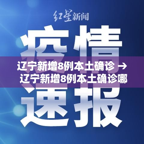 辽宁新增8例本土确诊 → 辽宁新增8例本土确诊哪个市 辽宁新增8例本土确诊 → 辽宁新增8例本土确诊哪个市