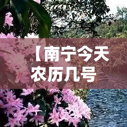 【南宁今天农历几号限行·南宁今天农历几号限行的】 【南宁今天农历几号限行·南宁今天农历几号限行的】