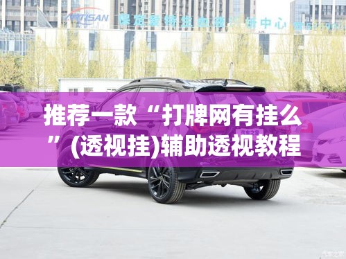 推荐一款“打牌网有挂么”(透视挂)辅助透视教程