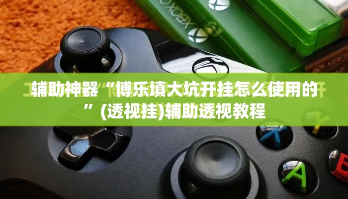 辅助神器“博乐填大坑开挂怎么使用的”(透视挂)辅助透视教程