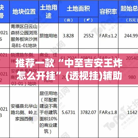 推荐一款“中至吉安王炸怎么开挂”(透视挂)辅助透视教程