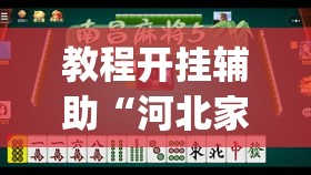 教程开挂辅助“河北家乡麻将一直输”(透视挂)辅助透视教程