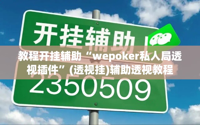 教程开挂辅助“wepoker私人局透视插件”(透视挂)辅助透视教程