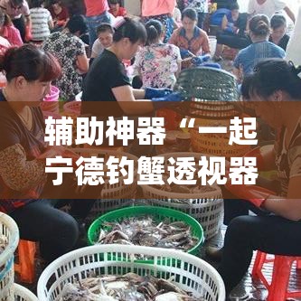 辅助神器“一起宁德钓蟹透视器”(透视挂)辅助透视教程