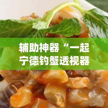 辅助神器“一起宁德钓蟹透视器”(透视挂)辅助透视教程