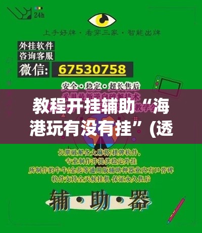 教程开挂辅助“海港玩有没有挂”(透视挂)辅助透视教程