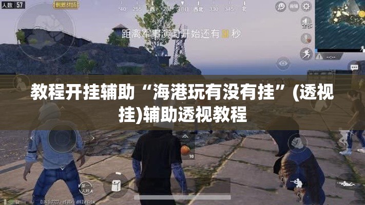 教程开挂辅助“海港玩有没有挂”(透视挂)辅助透视教程