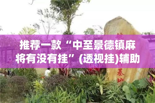 推荐一款“中至景德镇麻将有没有挂	”(透视挂)辅助透视教程