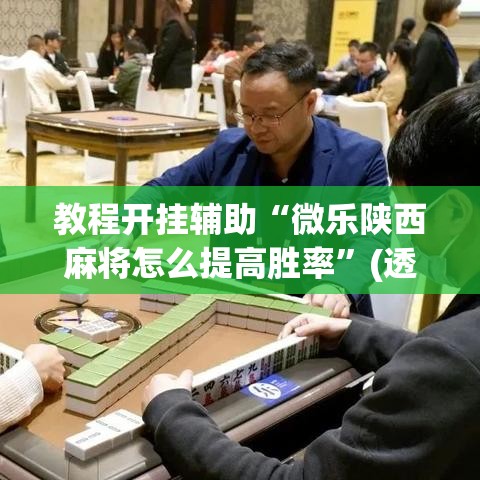 教程开挂辅助“微乐陕西麻将怎么提高胜率	”(透视挂)辅助透视教程