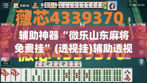 辅助神器“微乐山东麻将免费挂”(透视挂)辅助透视教程