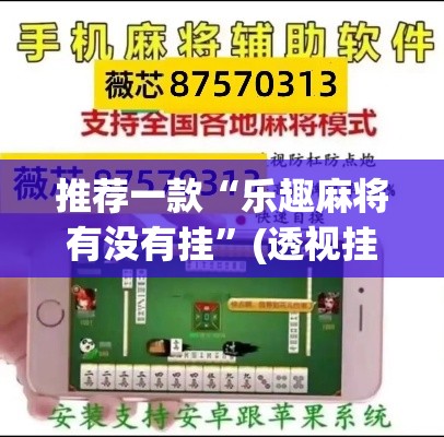 推荐一款“乐趣麻将有没有挂”(透视挂)辅助透视教程