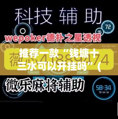 推荐一款“钱塘十三水可以开挂吗”(透视挂)辅助透视教程