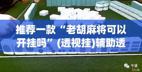 推荐一款“老胡麻将可以开挂吗”(透视挂)辅助透视教程