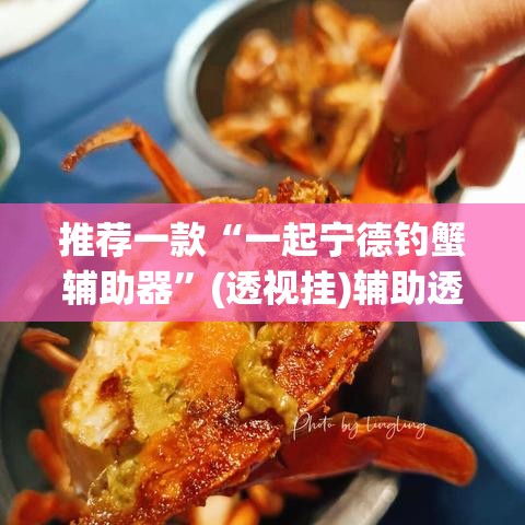 推荐一款“一起宁德钓蟹辅助器	”(透视挂)辅助透视教程