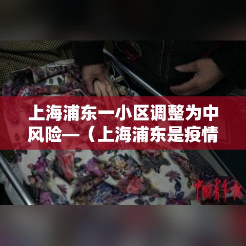 上海浦东一小区调整为中风险—（上海浦东是疫情中风险）