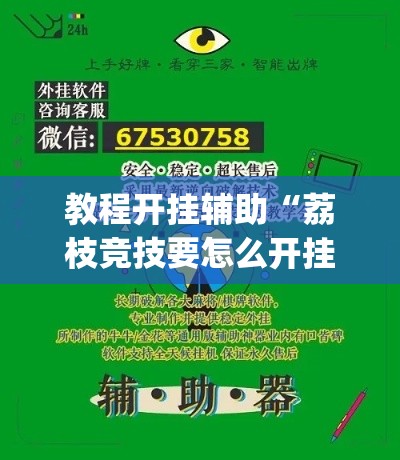 教程开挂辅助“荔枝竞技要怎么开挂”(透视挂)辅助透视教程