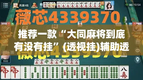 推荐一款“大同麻将到底有没有挂”(透视挂)辅助透视教程