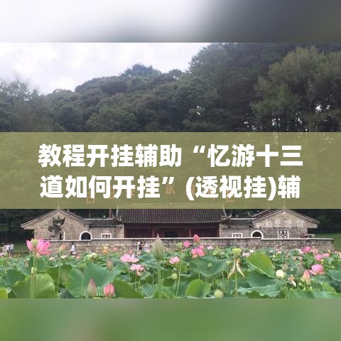 教程开挂辅助“忆游十三道如何开挂”(透视挂)辅助透视教程