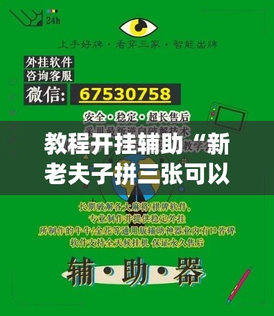 教程开挂辅助“新老夫子拼三张可以开挂吗”(透视挂)辅助透视教程