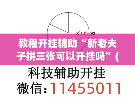 教程开挂辅助“新老夫子拼三张可以开挂吗”(透视挂)辅助透视教程