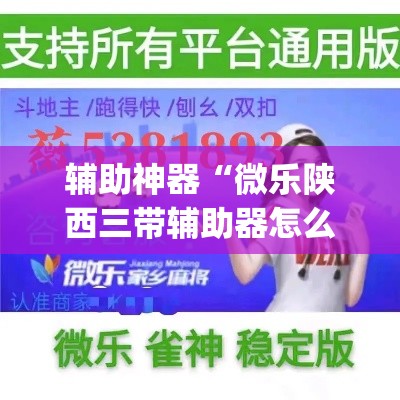 辅助神器“微乐陕西三带辅助器怎么安装”(透视挂)辅助透视教程