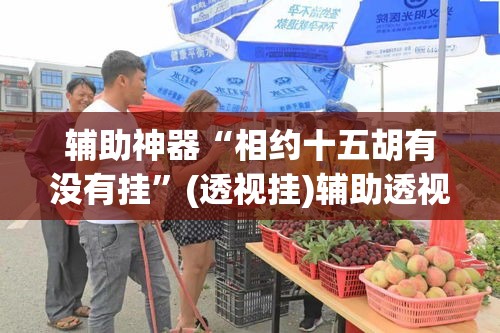 辅助神器“相约十五胡有没有挂”(透视挂)辅助透视教程