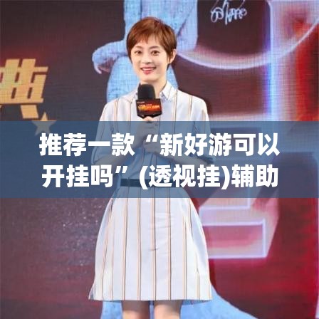 推荐一款“新好游可以开挂吗”(透视挂)辅助透视教程