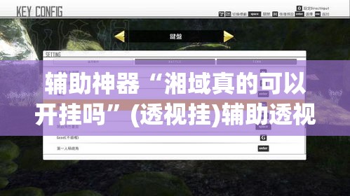 辅助神器“湘域真的可以开挂吗	”(透视挂)辅助透视教程