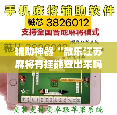 辅助神器“微乐江苏麻将有挂能查出来吗	”(透视挂)辅助透视教程