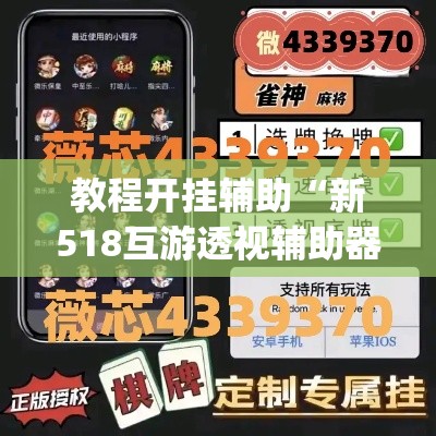 教程开挂辅助“新518互游透视辅助器”(透视挂)辅助透视教程
