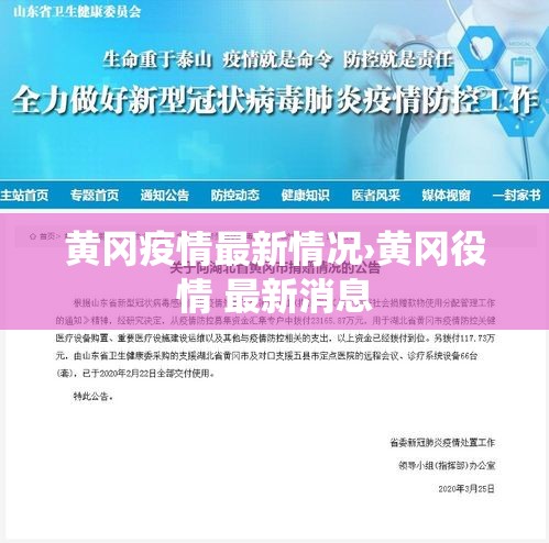 黄冈疫情最新情况›黄冈役情 最新消息